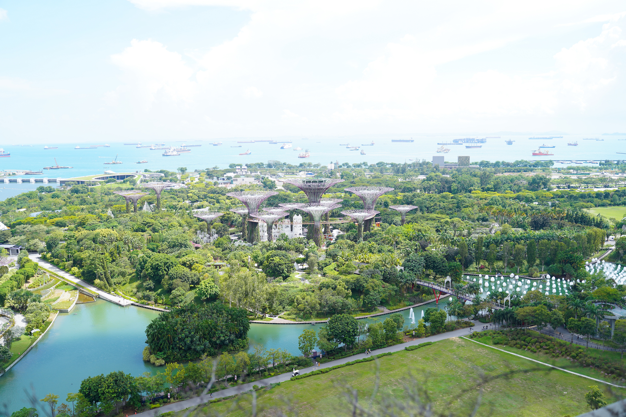シンガポールのホテル「マリーナベイ・サンズ」の部屋から眺めた光景（植物園）／2019年11月30日：撮影：SHUN ONLINE