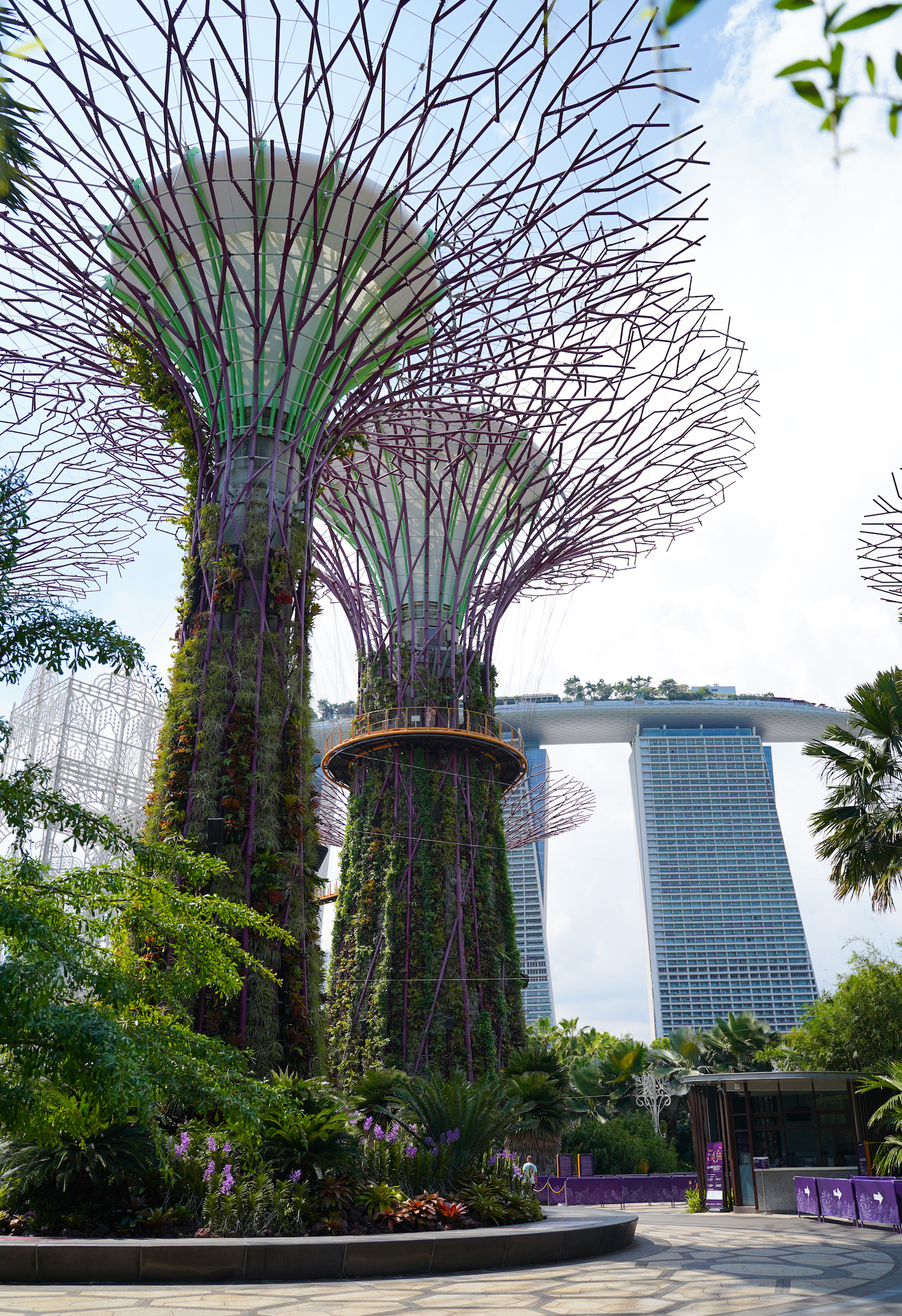 シンガポールのホテル「マリーナベイ・サンズ」の部屋から眺めた光景（植物園）／2019年12月1日：撮影：SHUN ONLINE