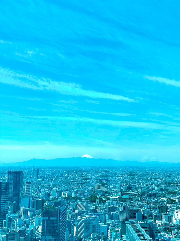 富士山（渋谷スクランブルスクエアから眺めた光景）