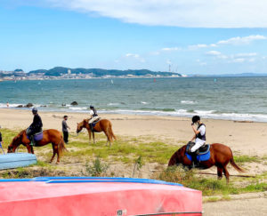 馬 in 三浦海岸