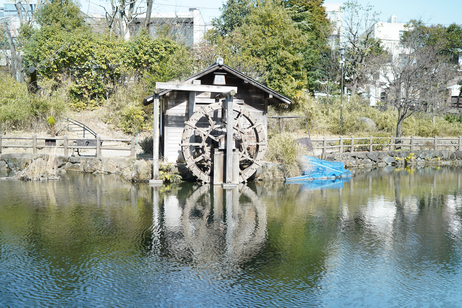 渋谷区立鍋島松濤公園の池／2022年3月5日. C-PL FILTERをあまり効かせてないパターン.撮影：SHUN
