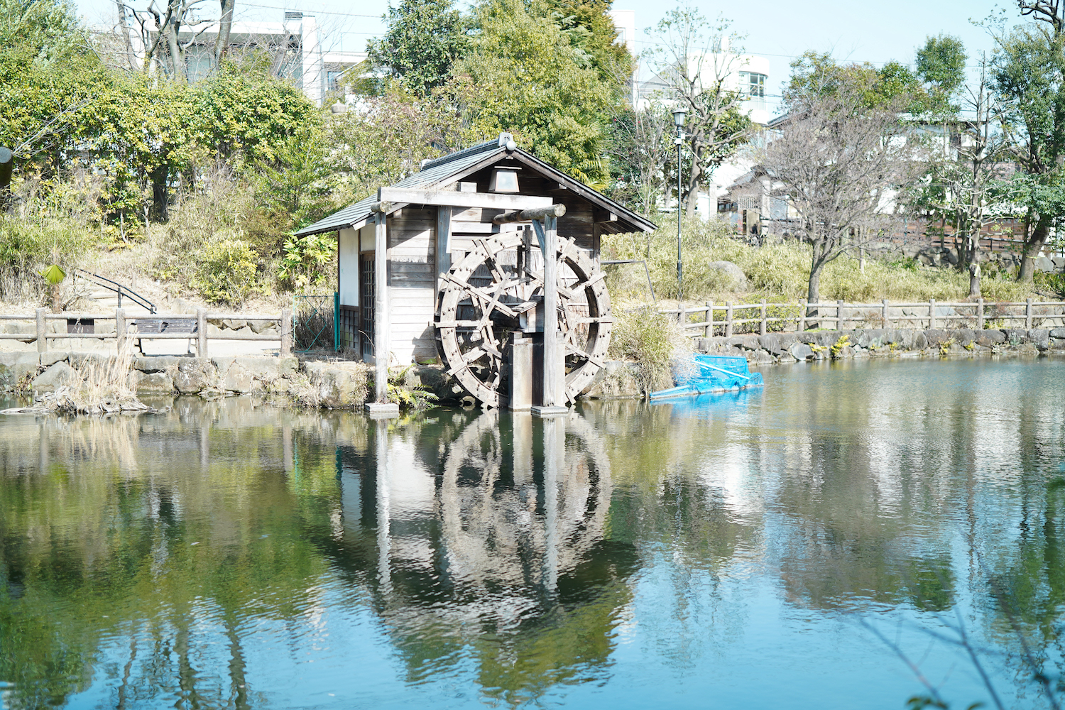 渋谷区立鍋島松濤公園の池／2022年3月5日. C-PL FILTERをあまり効かせてないパターン.撮影：SHUN