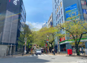 渋谷桜丘の「さくら坂」／2022　年4月11日。撮影：SHUN