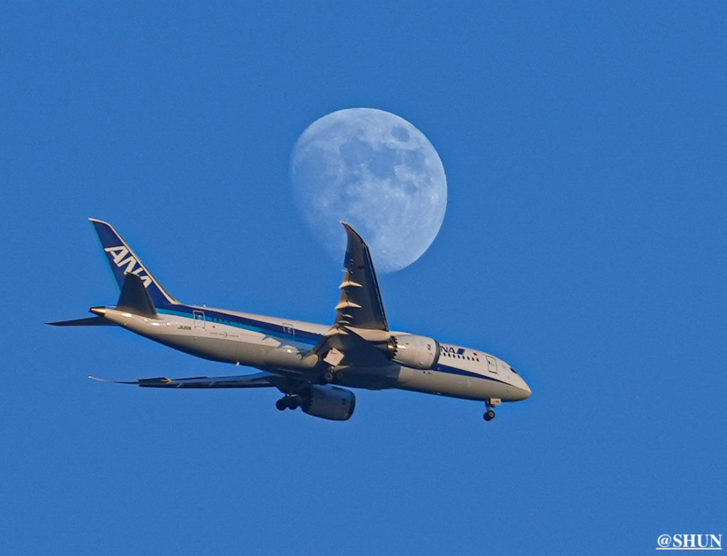 月に接近する飛行機を撮影。2023年11月24日、渋谷の自宅にて。撮影：SHUN