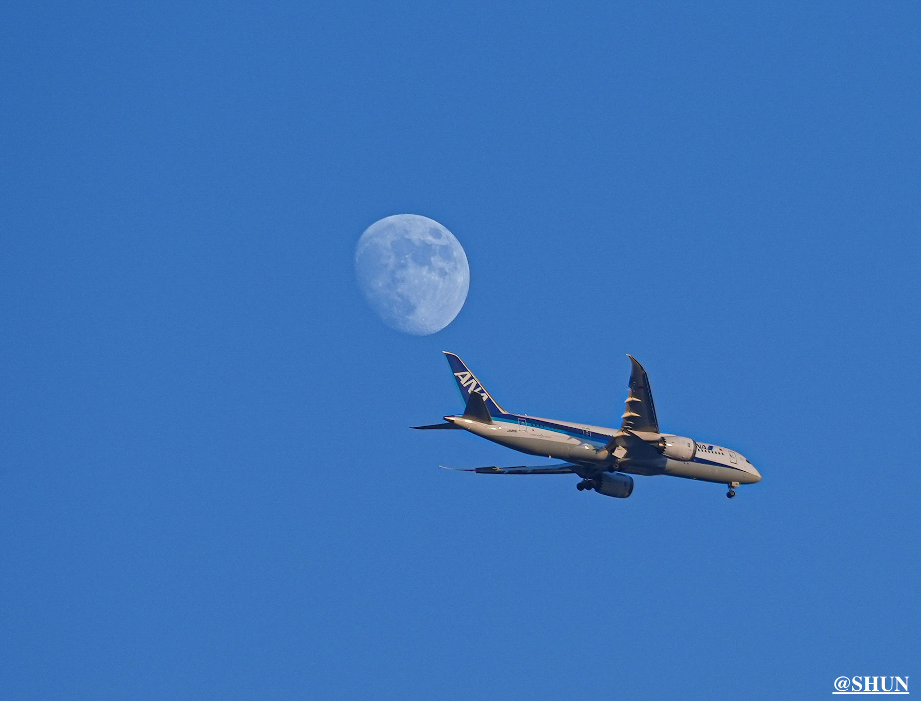 月に接近する飛行機を撮影。2023年11月24日、渋谷の自宅にて。撮影：SHUN