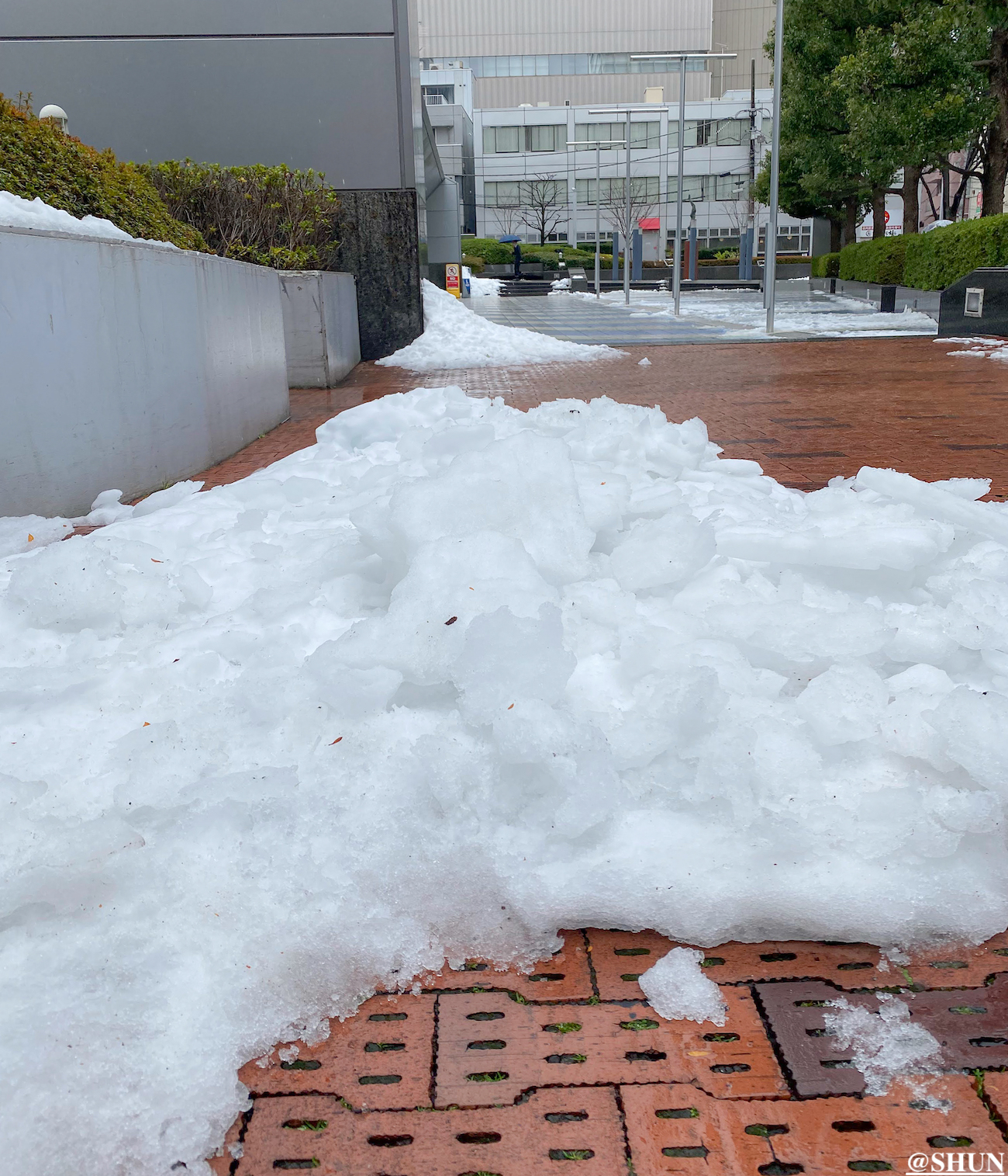 珍しく渋谷に降った”雪”／2024年2月6日、東京 渋谷桜丘のインフォスタワー前にて。@SHUN